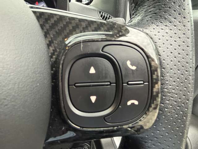 アバルト ５９５ コンペティツィオーネ H29年 (東北) 99