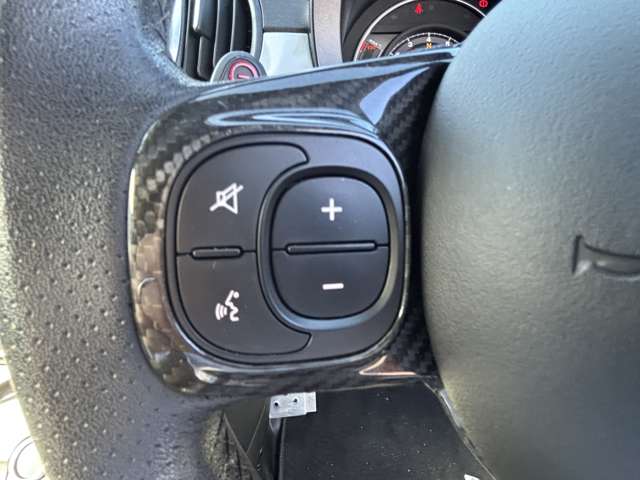 アバルト ５９５ コンペティツィオーネ R1年 (東北) 99