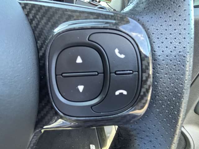 アバルト ５９５ コンペティツィオーネ R1年 (東北) 99