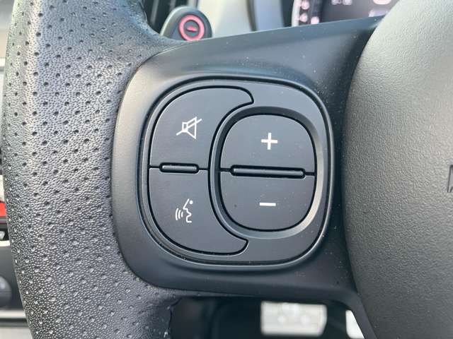 アバルト ５９５Ｃ ピスタ R2年 (東北) 99