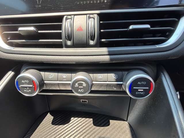 アルファロメオ ジュリア クアドリフォリオ　アルジェント H30年 (東北) 99