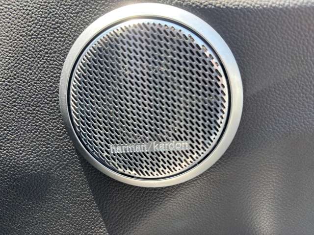 アルファロメオ ジュリア クアドリフォリオ　アルジェント H30年 (東北) 99