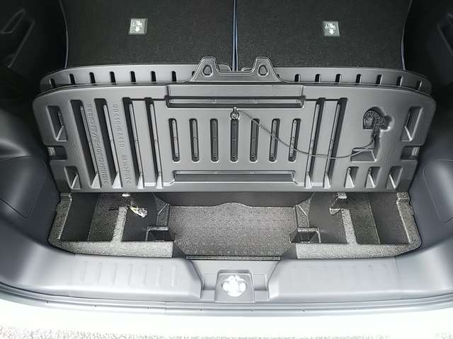 ダイハツ ムーヴ　キャンバス ６６０ ストライプス Ｇ R7年 (関東) 99