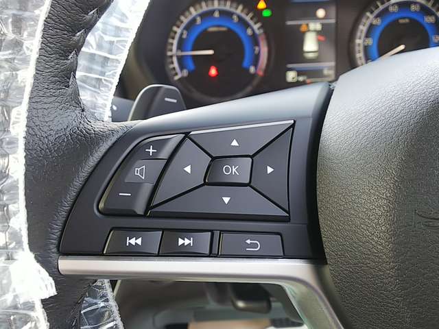 三菱 デリカ　ミニ ６６０ Ｔ プレミアム ４ＷＤ R7年 (関東) 99