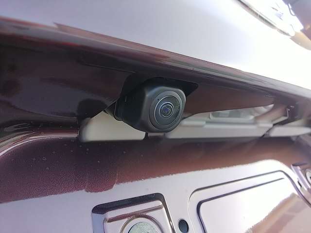 ダイハツ タント ６６０ Ｌ R6年 (関東) 99