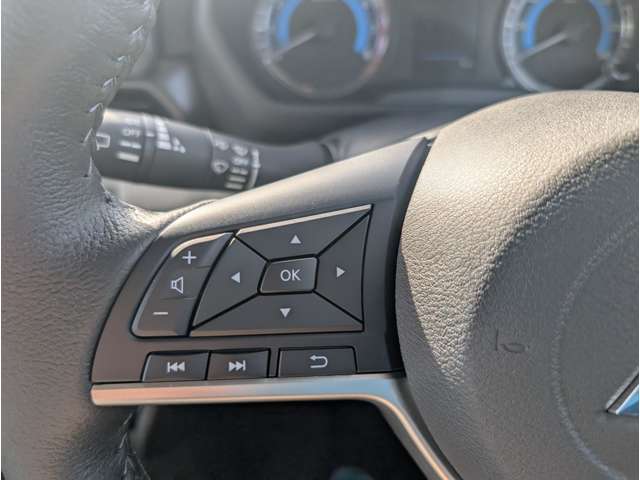 三菱 デリカ　ミニ ６６０ Ｇ プレミアム R7年 (関東) 99