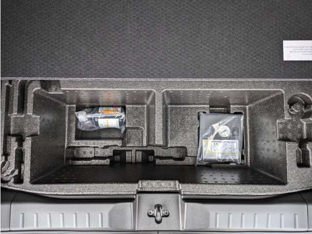 三菱 デリカ　ミニ ６６０ Ｇ プレミアム R7年 (関東) 99