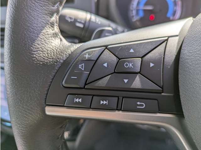 三菱 デリカ　ミニ ６６０ Ｔ プレミアム ４ＷＤ R7年 (関東) 99