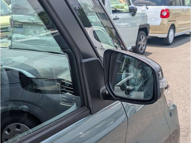 三菱 デリカ　ミニ ６６０ Ｇ プレミアム R7年 (関東) 99