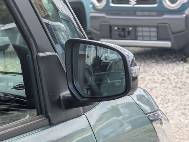 三菱 デリカ　ミニ ６６０ Ｔ プレミアム R7年 (関東) 99