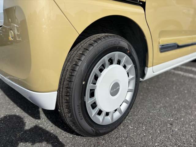 ダイハツ ムーヴ　キャンバス ６６０ ストライプス Ｇ R7年 (関東) 99