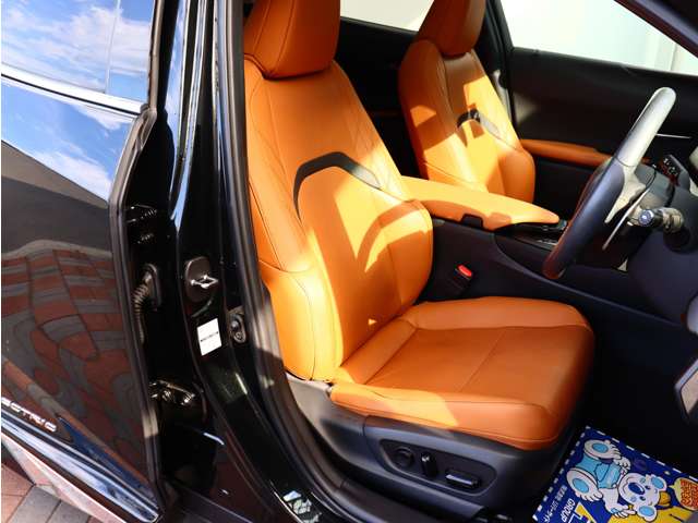 レクサス ＵＸ３００ｅ バージョンＬ R3年 (関東) 99