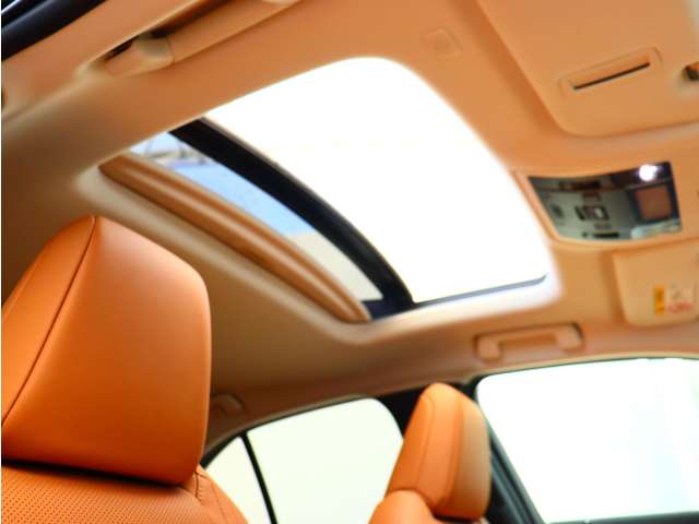 レクサス ＵＸ３００ｅ バージョンＬ R3年 (関東) 99