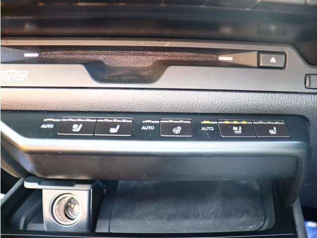 レクサス ＵＸ３００ｅ バージョンＬ R3年 (関東) 99