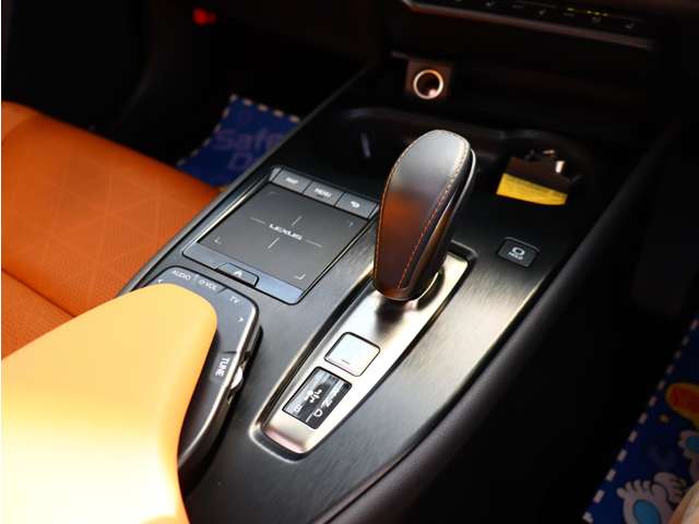 レクサス ＵＸ３００ｅ バージョンＬ R3年 (関東) 99