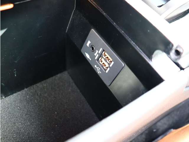 レクサス ＵＸ３００ｅ バージョンＬ R3年 (関東) 99