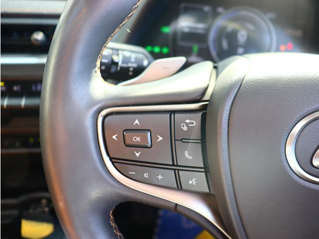 レクサス ＵＸ３００ｅ バージョンＬ R3年 (関東) 99