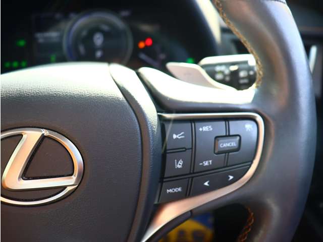 レクサス ＵＸ３００ｅ バージョンＬ R3年 (関東) 99
