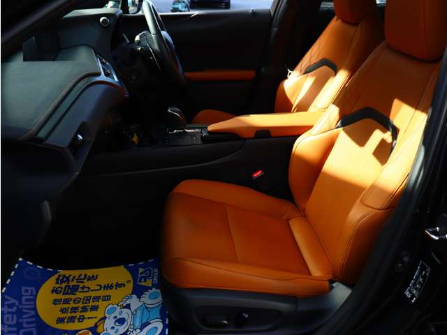 レクサス ＵＸ３００ｅ バージョンＬ R3年 (関東) 99