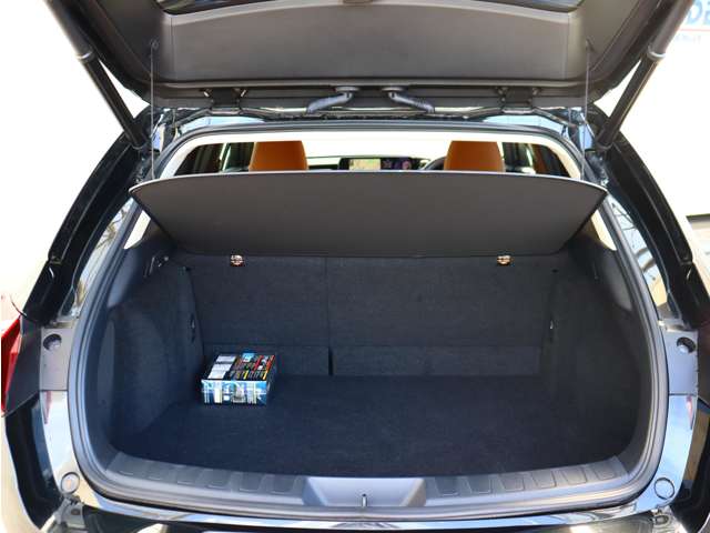 レクサス ＵＸ３００ｅ バージョンＬ R3年 (関東) 99