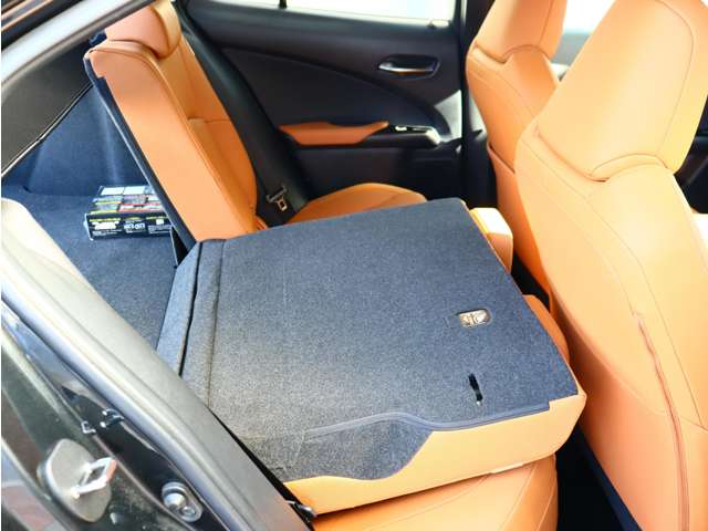 レクサス ＵＸ３００ｅ バージョンＬ R3年 (関東) 99