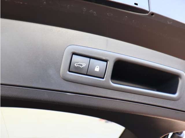 レクサス ＵＸ３００ｅ バージョンＬ R3年 (関東) 99