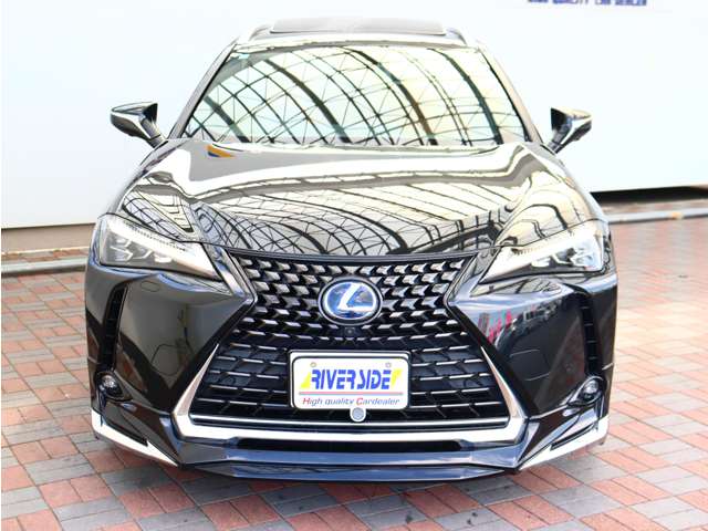 レクサス ＵＸ３００ｅ バージョンＬ R3年 (関東) 99