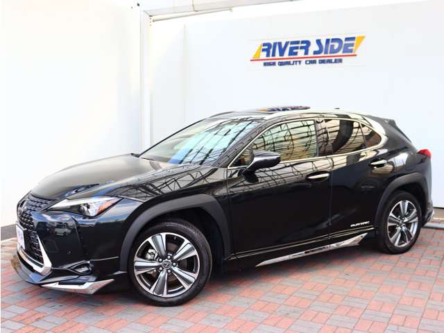 レクサス ＵＸ３００ｅ バージョンＬ R3年 (関東) 99