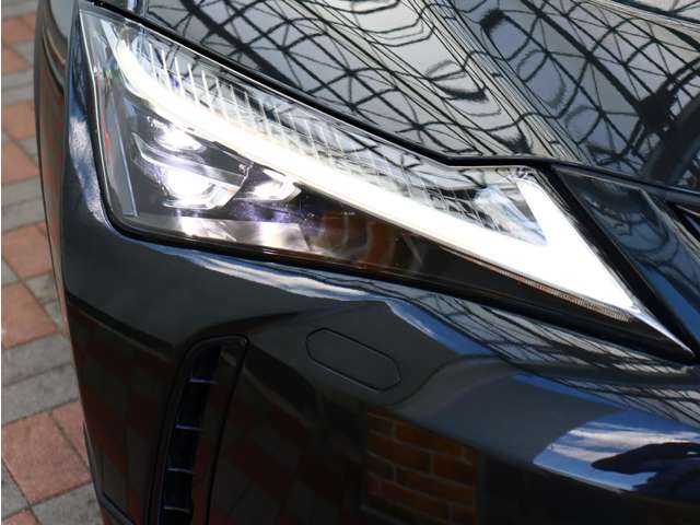 レクサス ＵＸ３００ｅ バージョンＬ R3年 (関東) 99