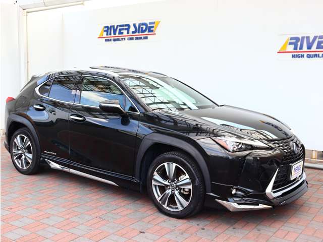 レクサス ＵＸ３００ｅ バージョンＬ R3年 (関東) 99