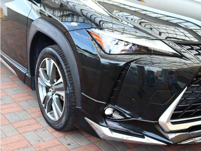 レクサス ＵＸ３００ｅ バージョンＬ R3年 (関東) 99