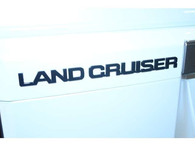 トヨタ ランドクルーザー２５０ ２．８ ＶＸ ディーゼルターボ ４ＷＤ R6年 (関東) 99