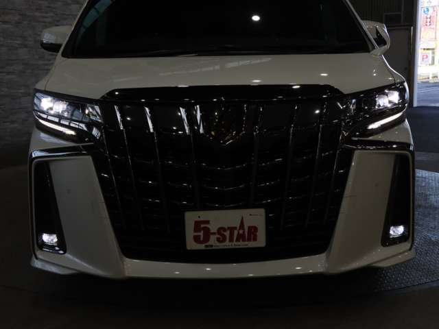 トヨタ アルファード ２．５ Ｓ タイプゴールド R2年 (関東) 99