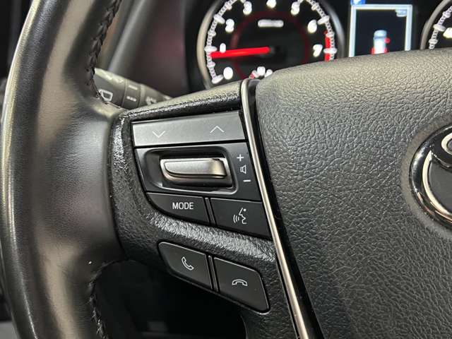 トヨタ アルファード ２．５ Ｓ タイプゴールド R2年 (関東) 99