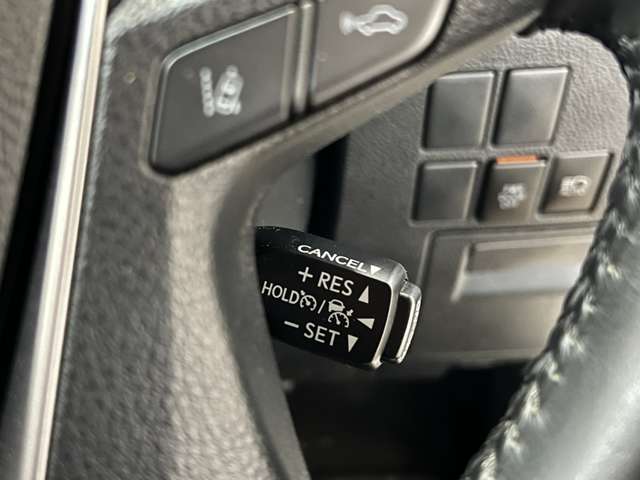 トヨタ アルファード ２．５ Ｓ タイプゴールド R2年 (関東) 99