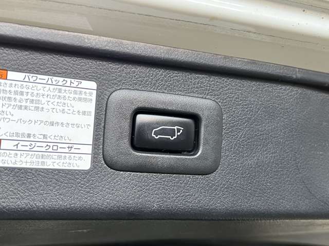 トヨタ アルファード ２．５ Ｓ タイプゴールド R2年 (関東) 99