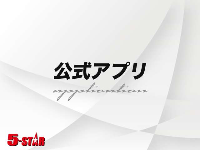 トヨタ アルファード ２．５ Ｓ タイプゴールド R2年 (関東) 99