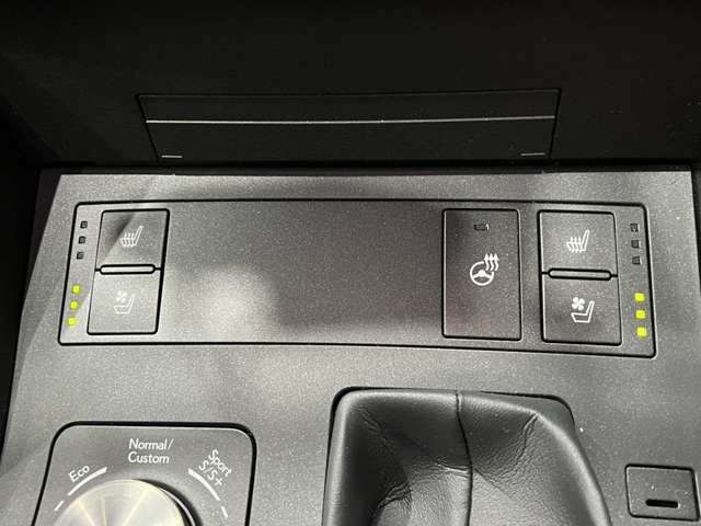 レクサス ＩＳ３００ｈ バージョンＬ R4年 (関東) 99