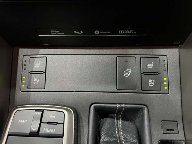 レクサス ＩＳ２００ｔ バージョンＬ H29年 (関東) 99