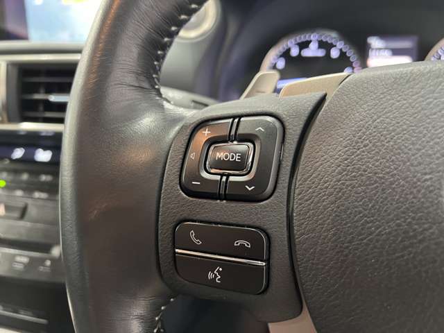 レクサス ＩＳ２００ｔ バージョンＬ H29年 (関東) 99