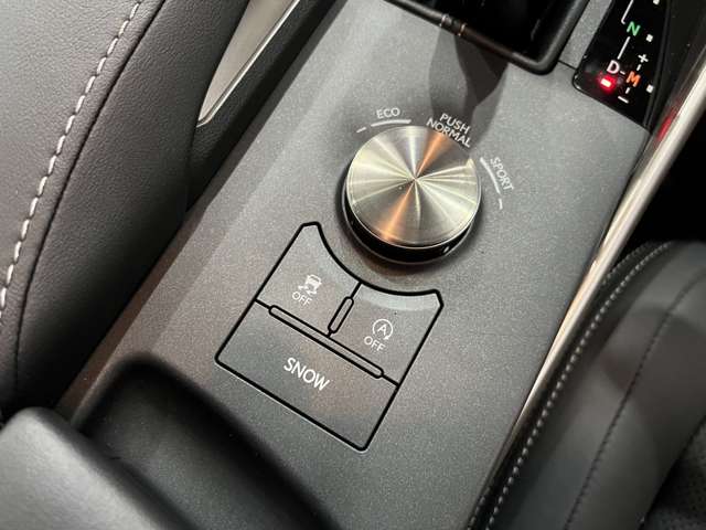 レクサス ＩＳ２００ｔ バージョンＬ H29年 (関東) 99