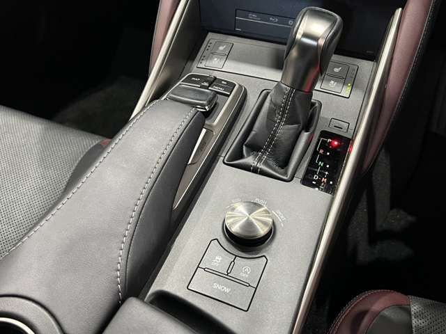 レクサス ＩＳ３００ バージョンＬ H30年 (関東) 99