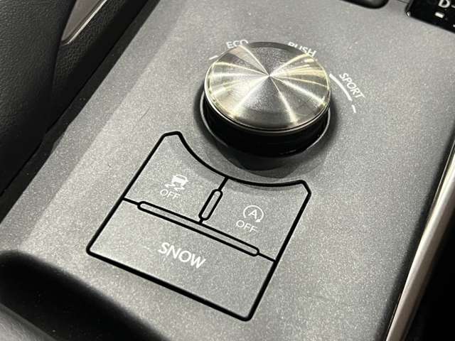 レクサス ＩＳ３００ バージョンＬ H30年 (関東) 99