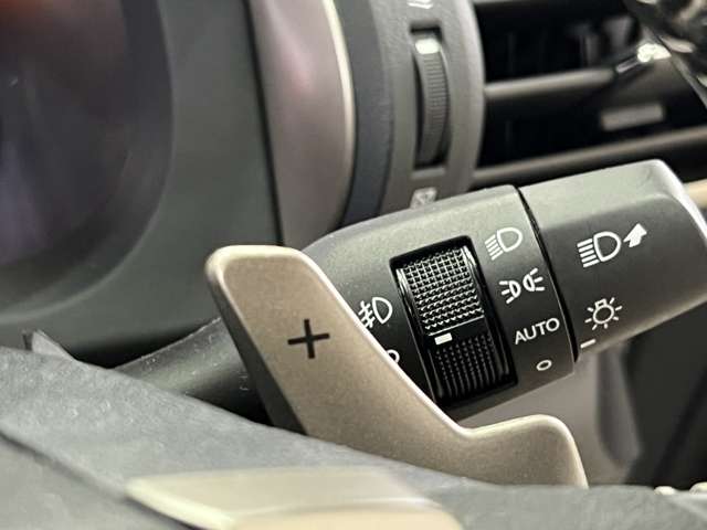 レクサス ＲＣ２００ｔ バージョンＬ H28年 (関東) 99