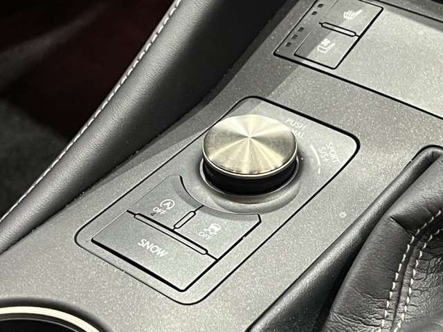 レクサス ＲＣ２００ｔ バージョンＬ H28年 (関東) 99