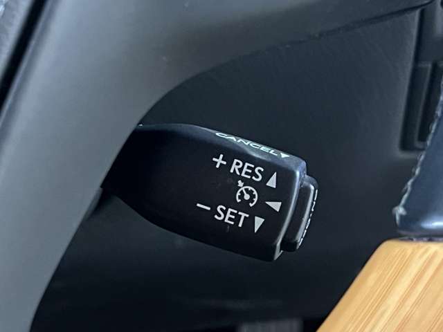 レクサス ＬＳ４６０ バージョンＬ H26年 (関東) 99