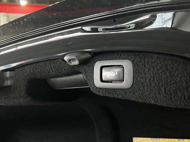 レクサス ＬＳ４６０ バージョンＬ H26年 (関東) 99