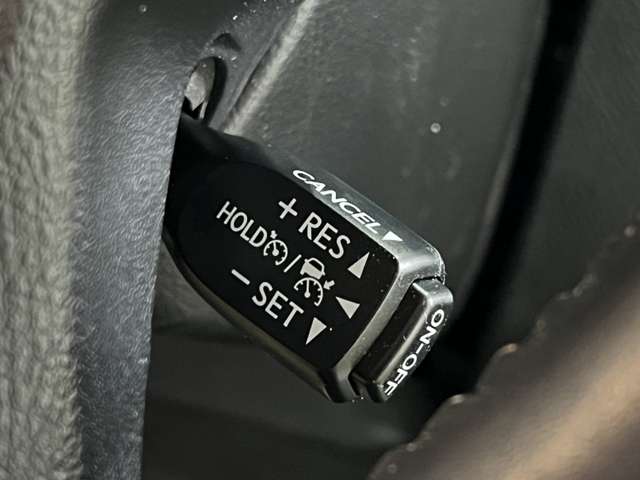 トヨタ アルファード ２．５ Ｓ H30年 (関東) 99