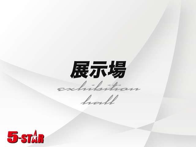 トヨタ アルファード ２．５ Ｓ H30年 (関東) 99