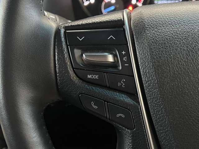 トヨタ ヴェルファイア ３．５ エグゼクティブラウンジ H27年 (関東) 99